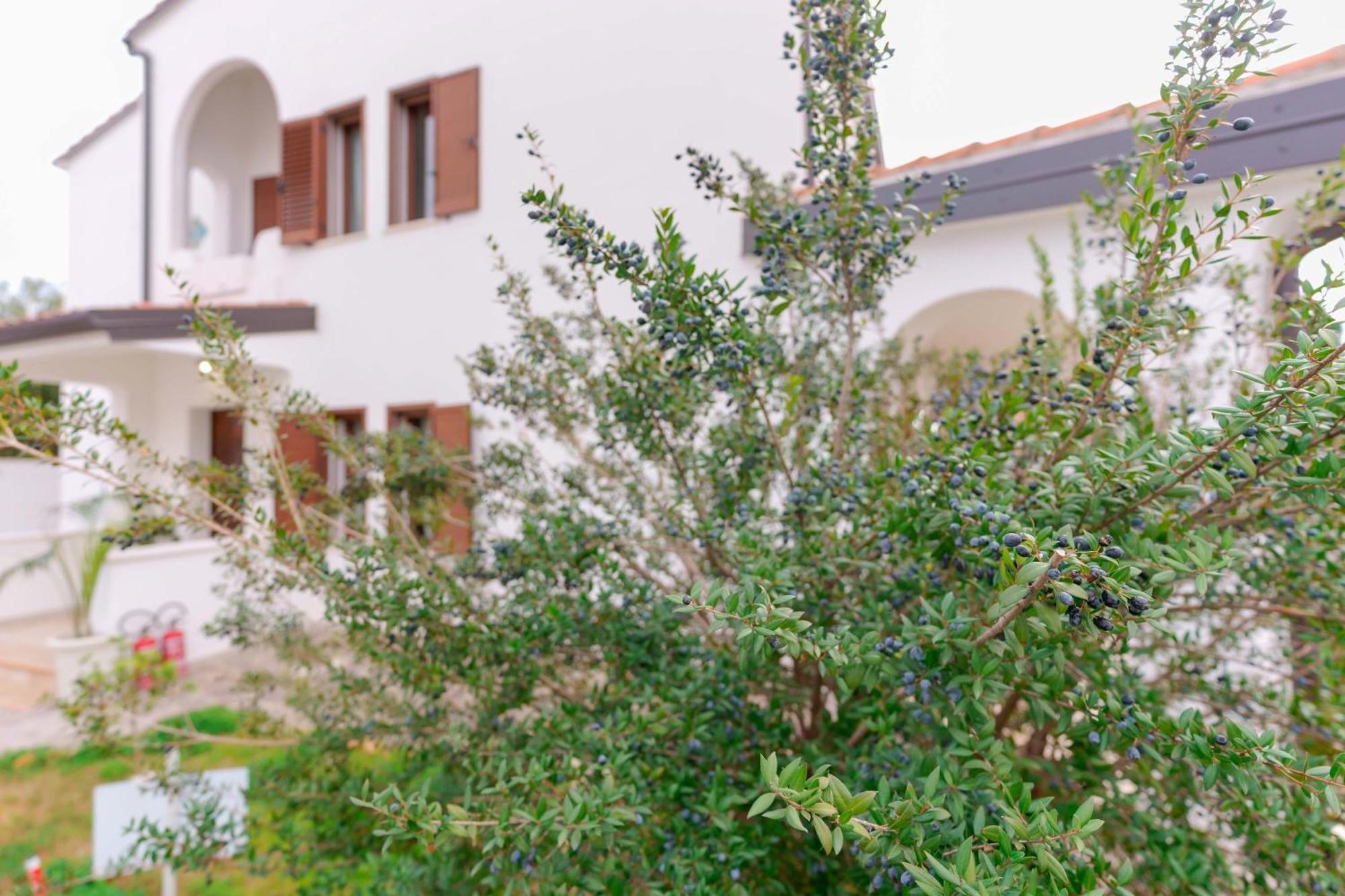 Villa Wunjo Iun R3267 La Maddalena  Экстерьер фото